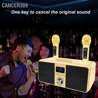 Cancer309 SD‑309 Bluetooth Speaker Drop Resistant 100Hz To 18KHz 10m/32.8ft Karaoke Machine with 2 Wireless Microphones