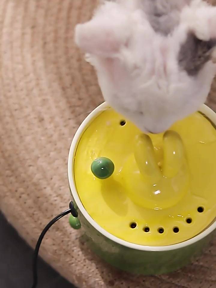 การไหลเวียนของน้ำพุแมวดื่ม-น้ำพุดื่มแมวเงียบ-เครื่องให้อาหารสัตว์เลี้ยงอัตโนมัติเซรามิก-อุปกรณ์ให้น้ำสุนัข