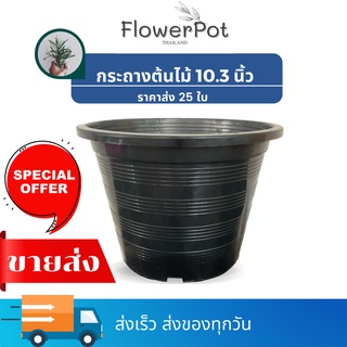 (25 ใบ)กระถางต้นไม้ 10 นิ้ว ปากกว้าง 10.3 นิ้ว  กระถางพลาสติก กระถางมินิมอล