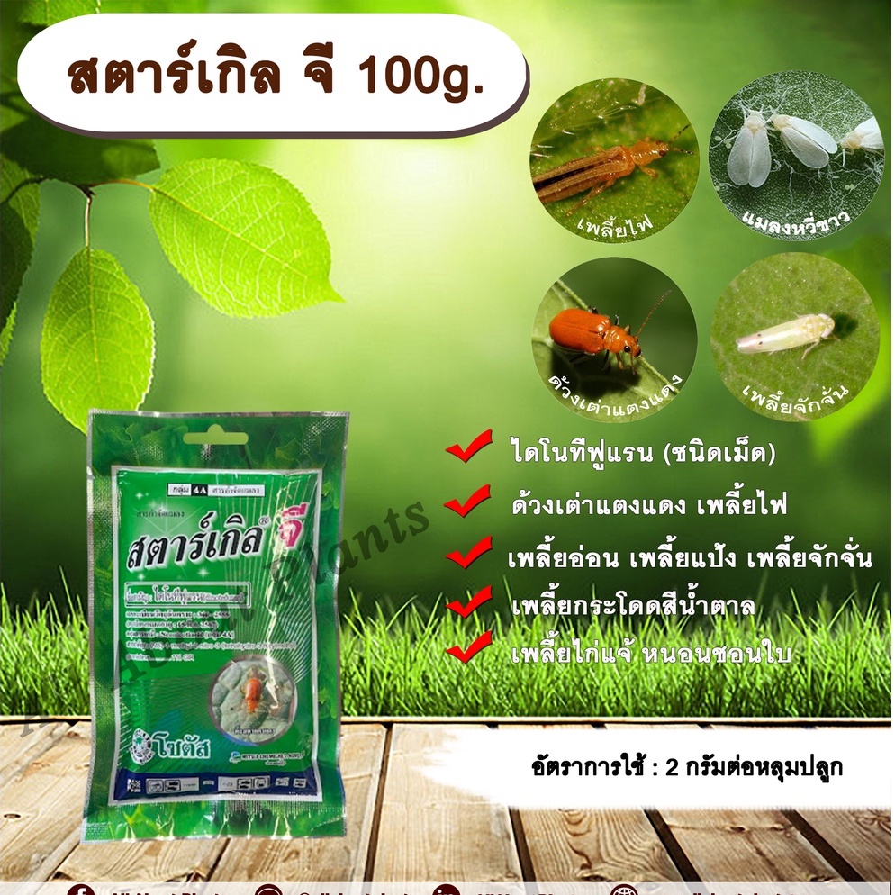 สตาร์เกิล-จี-100g-ไดโนทีฟูแรนชนิดเม็ด-เม็ดทราย-รองก้นหลุม-สารกำจัดแมลง-กำจัดเพลี้ย-กำจัดหอย-ด้วงเต่าแตงแดง-เพลี้ยไฟ