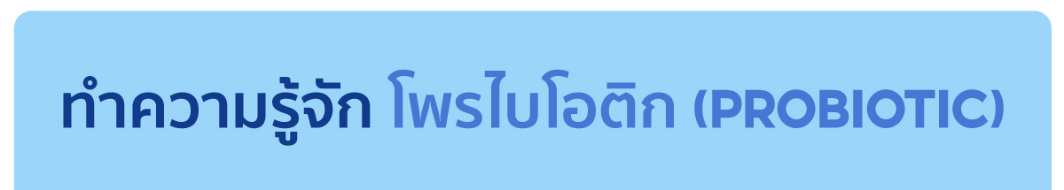 webp_image