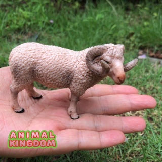 Animal Kingdom - โมเดลสัตว์ แกะ ขนาด 9.00 CM (จากหาดใหญ่)