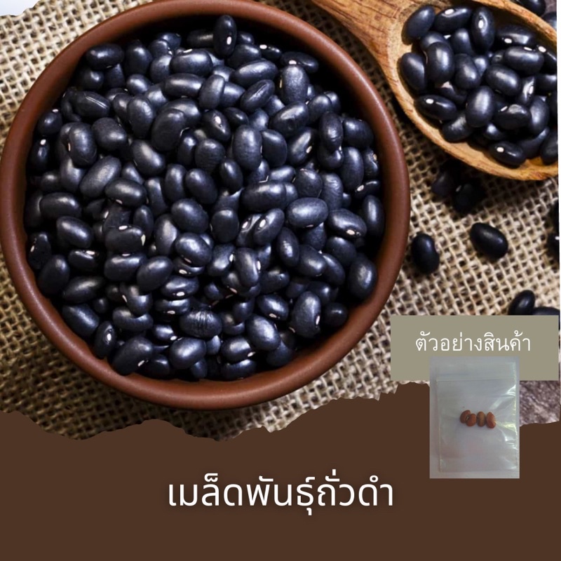 เมล็ดพันธุ์ถั่วดำ-5เมล็ด-ขั้นต่ำโปรดสั่งสินค้าภายในร้าน30บาทขึ้นไปไม่รวมค่าขนส่งค่ะ