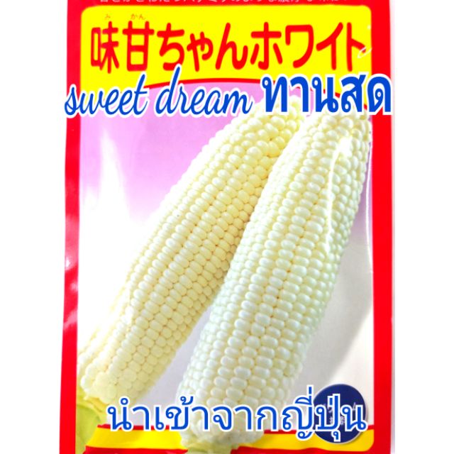 แบ่งขาย4เมล็ด-ข้าวโพดหวานทานสด-sweet-dream