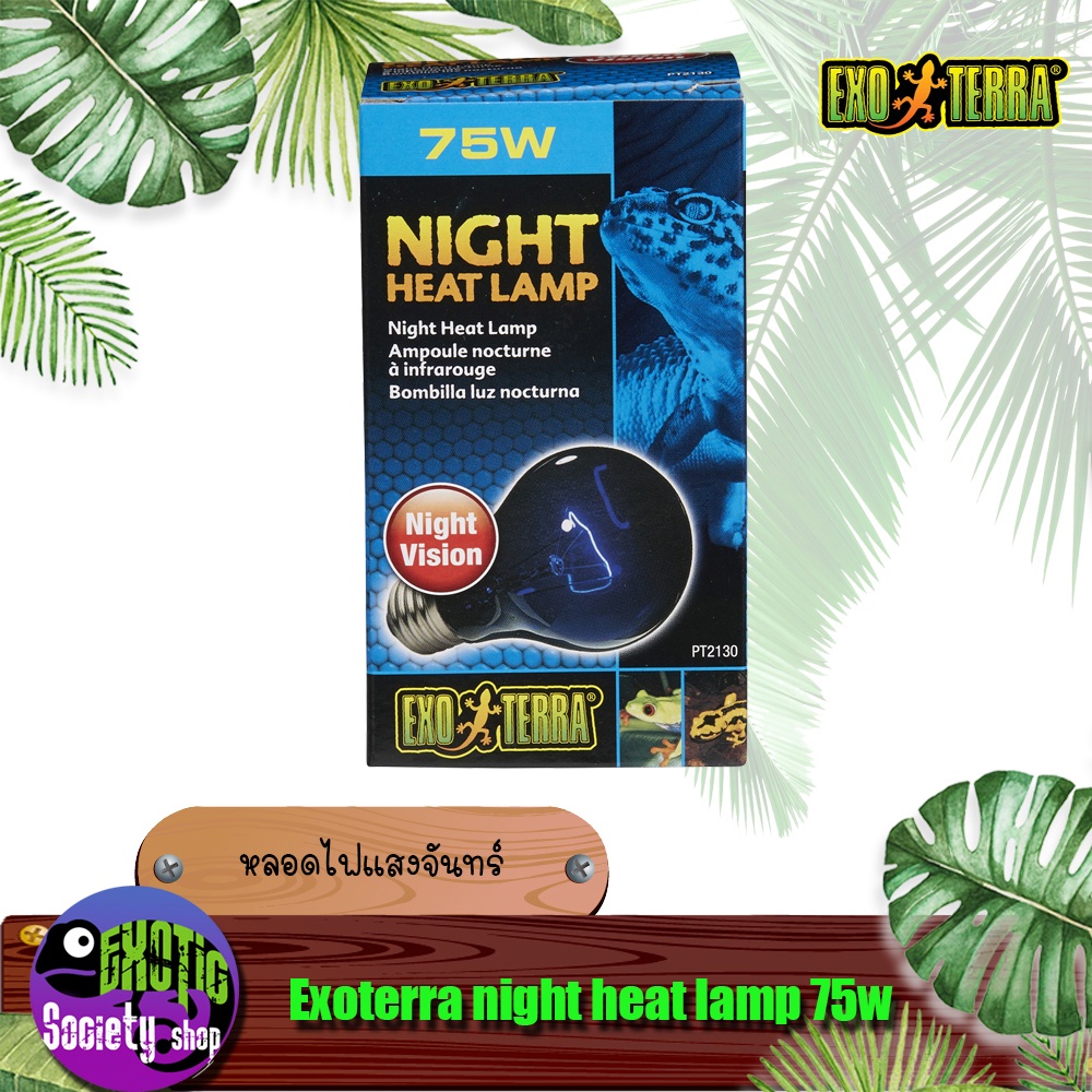 หลอดไฟสำหรับสัตว์เลื้อยคลาน-exoterra-night-heat-lamp-75w