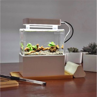 (พร้อมส่ง) ตู้ปลาจิ๋ว ตู้นาโนจิ๋ว Micro Fish Tank