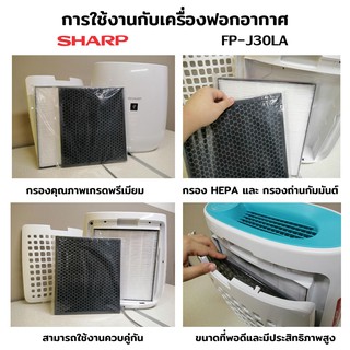 ภาพขนาดย่อของภาพหน้าปกสินค้าSharp ไส้กรอง PM2.5 กลิ่น สารพิษ แบคทีเรียในอากาศ (รุ่น FP-J30TA FP-J30LA FP-F30Y FP-F30HFE FP-F30L-H FP-GM30B และอื่นๆ) จากร้าน alicar บน Shopee