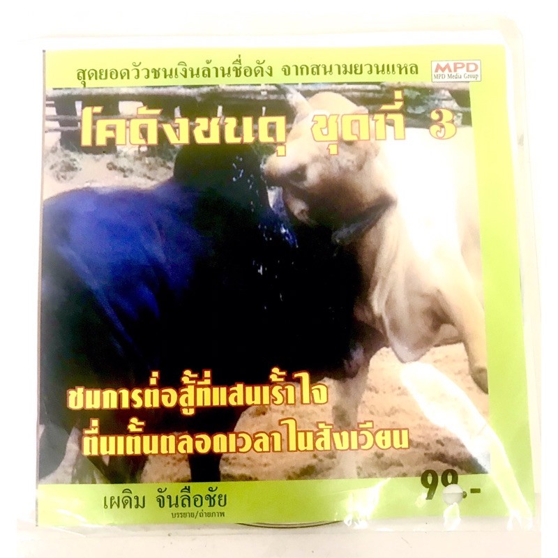 vcdไก่ชน-ลิขสิทธิ์แท้-แผ่นใหม่-มือ1-แผ่นละ39