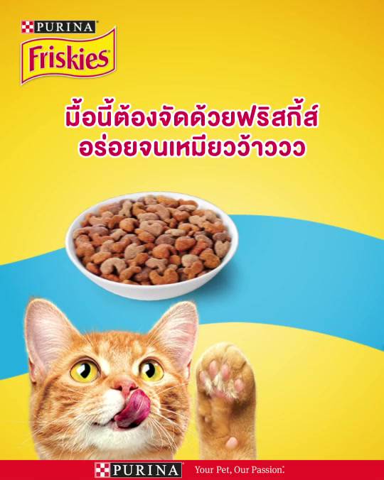 friskies-ฟริสกี้ส์-อาหารแมวเม็ด-400g