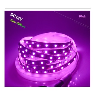 ไฟเส้น SMD5050 Pink 12v. 1ม้วน5เมตร