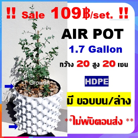 ภาพหน้าปกสินค้ากระถาง air pot สีขาว 1.7 Gallon กระถางแอร์พอต ปลูก420 (air pot) size 20*20 cm (White) กระถางต้นไม้ กระถางพลาสติก