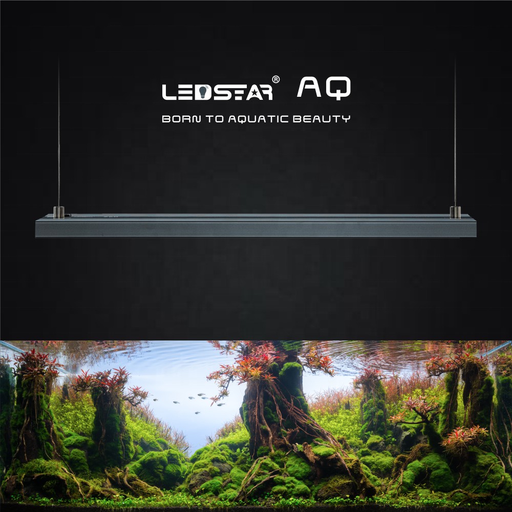 ledstar-aq-z90-aurora-ii-โคมไฟตู้ไม้น้ำ-ไม้ชื้น-แคสตัส-harworthia-กำลังไฟ-100w-งานสวย-ประกัน-1-ปี