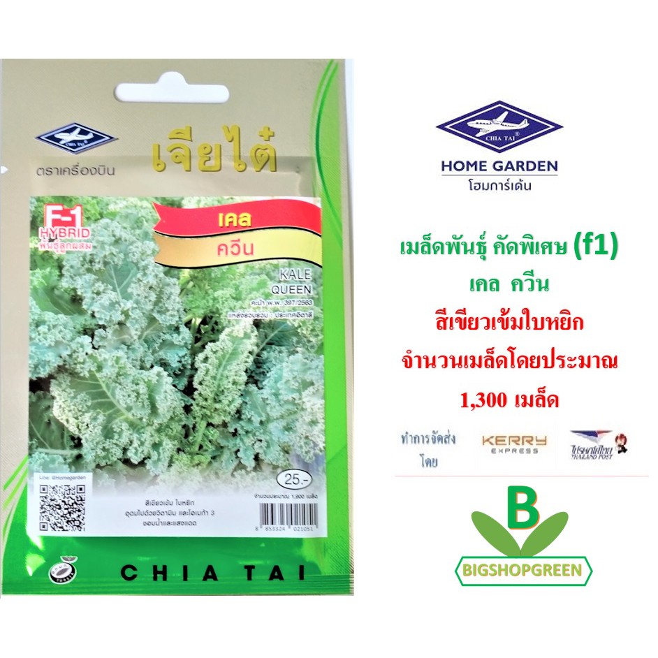 5-ฟรี-1-คละได้-เมล็ดพันธุ์-เคล-ควีน-ตราเจียไต๋-เมล็ดพันธุ์คัดพิเศษ-f1-เมล็ดผัก-เมล็ดพันธุ์พืช-เมล็ดพืช