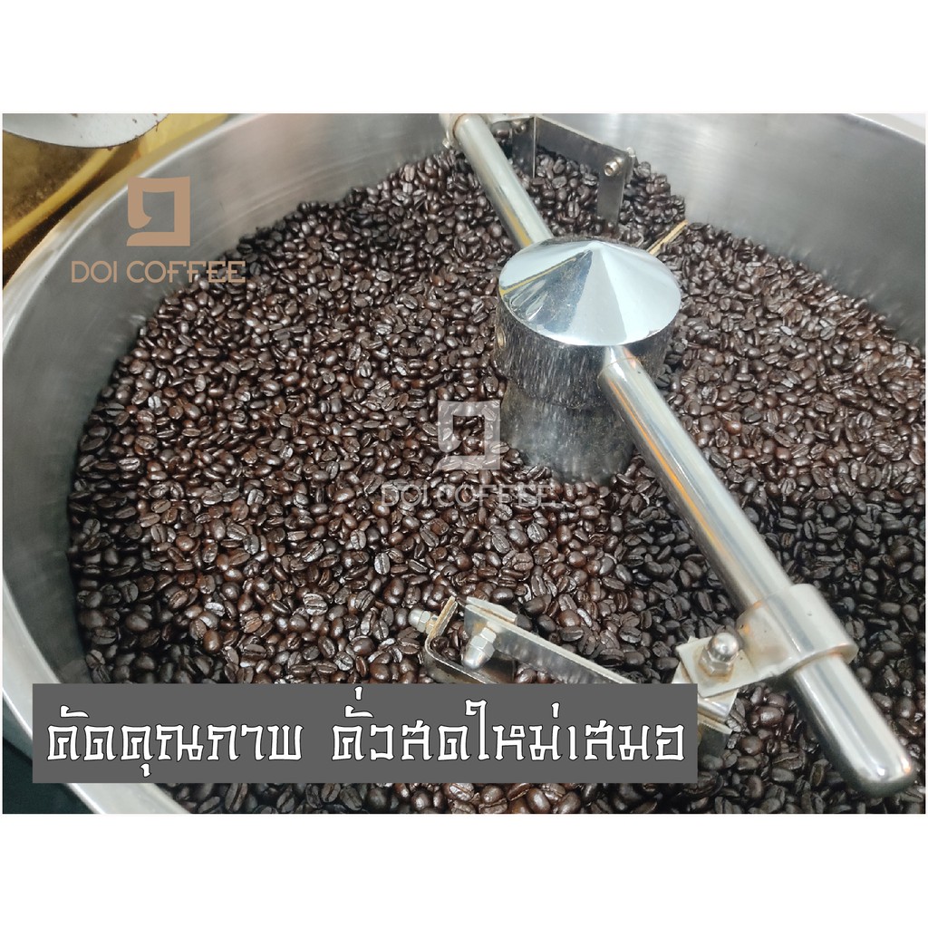 เมล็ดกาแฟ-อาราบิก้า100-เกรด-a-คั่วสด-คั่วกลางเข้ม-medium-to-dark-roast-1ถุง-บรรจุ-250-g-เมล็ดกาแฟดอยแม่สลอง