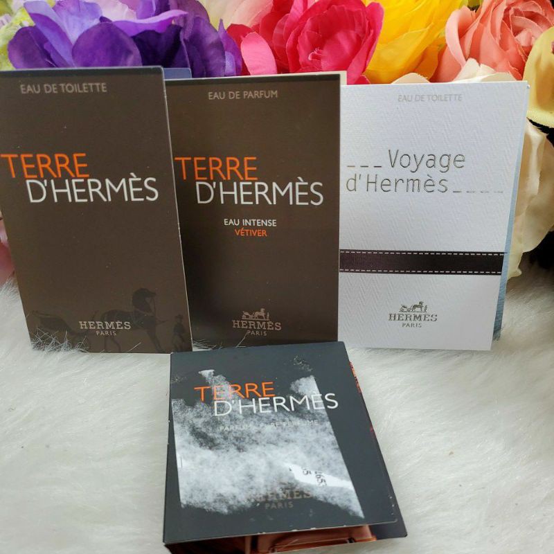 hermes-terre-dhermes-voyage-h24