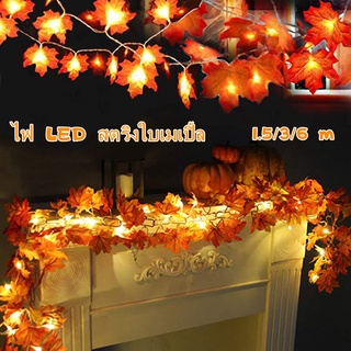 พร้อมส่ง🎄ไฟตกแต่ง ไฟสตริงใบเมเปิ้ล ไฟตกแต่งห้อง ตกแต่งสวน กลางแจ้ง