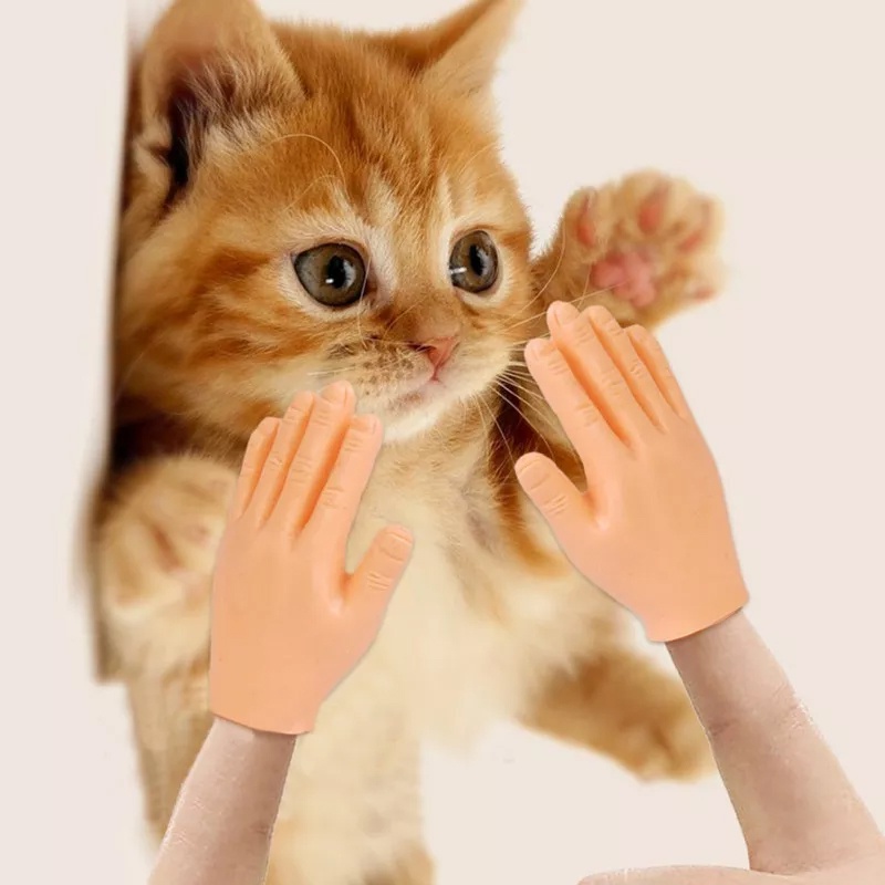ภาพสินค้าพร้อมส่ง ของเล่นแมว มือจิ๋ว มือปลอม มือจิ๋ว ของเล่นใหม่ ของเล่นแมวตลก น่ารัก จากร้าน 4iwk254fvx บน Shopee ภาพที่ 7