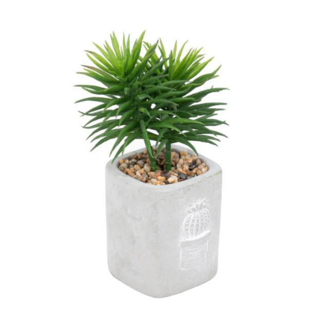 ต้นไม้ประดิษฐ์พร้อมกระถางปูนสไตล์ลอฟ-loft-cactus-botanical
