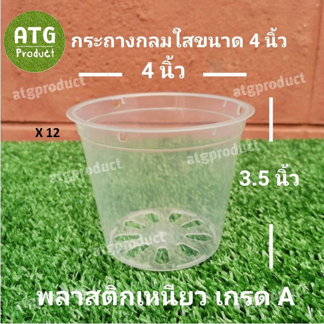 ภาพหน้าปกสินค้ากระถางกลมใส ขนาด 4 นิ้ว (10ใบ)