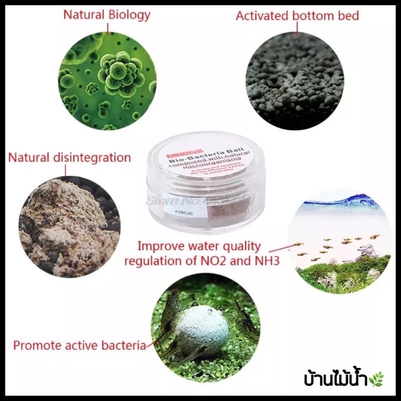 แบคบอล-dr-tank-bio-bacteria-ball-สูตรใหม่-ตัวช่วยบำบัดน้ำใส-สลายของเสีย-มีแบ่งขายสำหรับตู้ขนาดเล็ก-บ้านไม้น้ำ