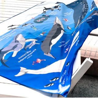 ผ้าเช็ดตัว Microfiber วาฬ Oceanarium