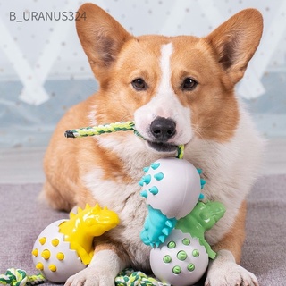 B_Uranus324 🦀🦀 ของเล่นแปรงสีฟัน รูปไข่ไดโนเสาร์ ทนต่อการกัด สําหรับดูแลช่องปาก สุนัข