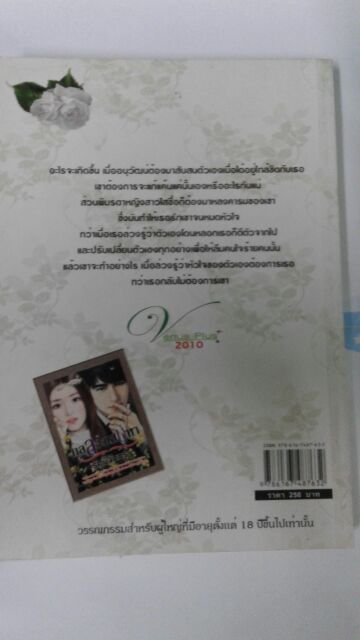 นิยาย-กลลวงเสน่หา