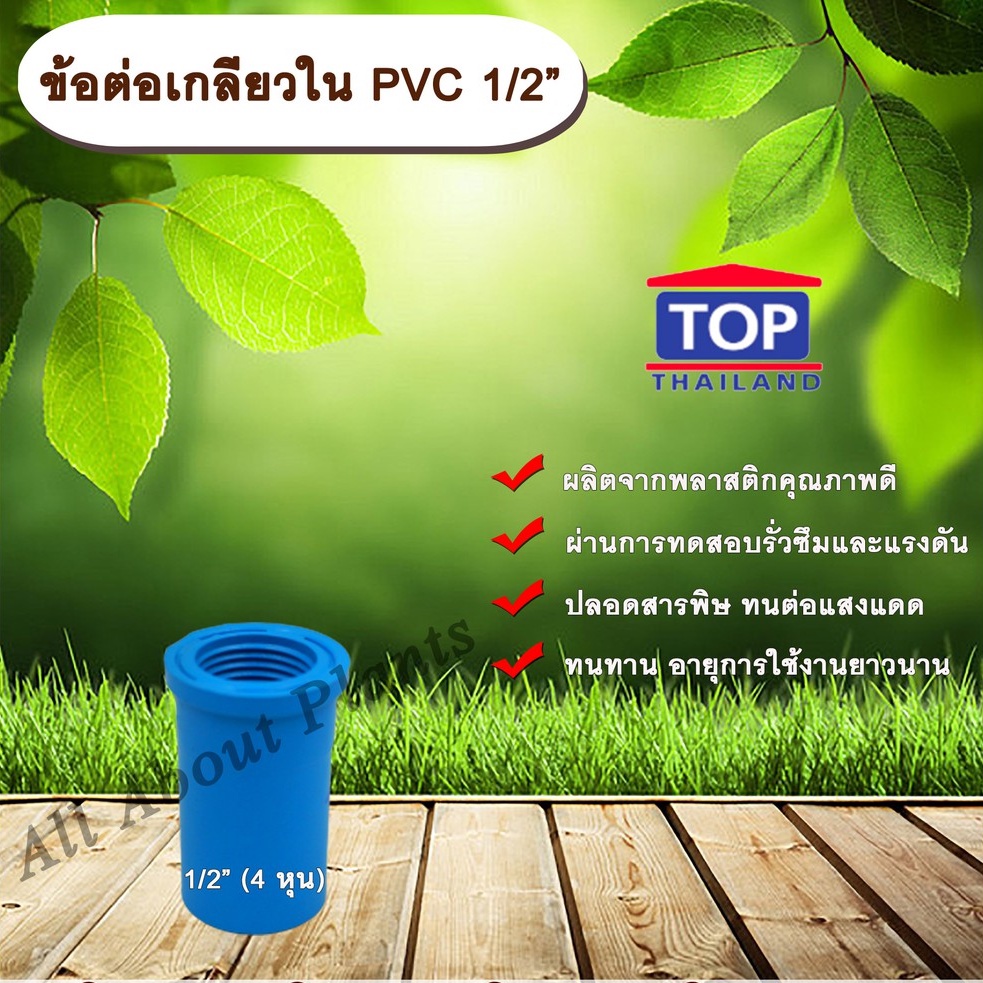 ข้อต่อเกลียวใน-pvc-ตรา-top-1-2-4หุน-ข้อต่อท่อpvc-allaboutplants