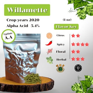 สินค้า Willamette Hops Crop years 2020 (บรรจุด้วยระบบสูญญากาศ)
