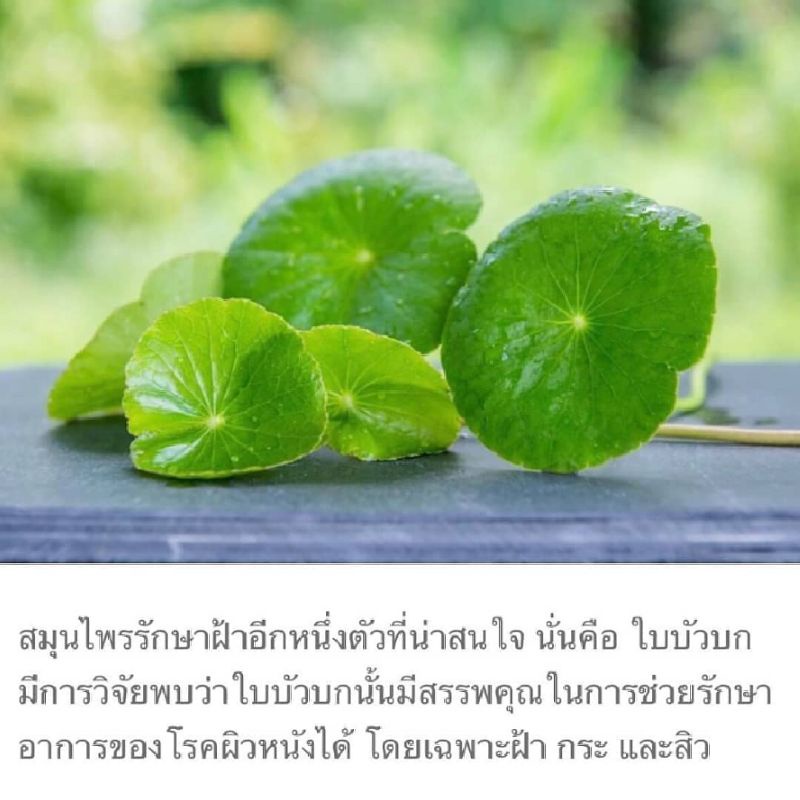 สบู่ใบบัวบก-deeskin-ดีสกิน-แถมถุงตีฟอง-ใช้ได้ทั้งใบหน้าและร่างกาย-รักษา