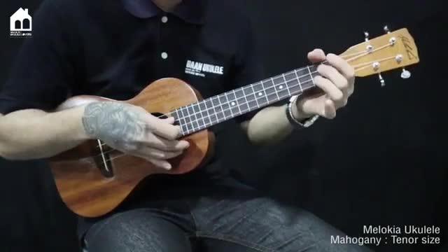 Melokia all solid Mahogany Tenor Ukulele อูคูเลเล่ไม้มะฮอกกานี ยี่ห้อเม ...