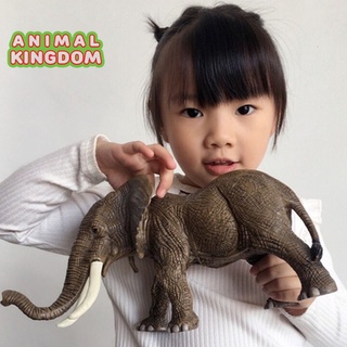 Animal Kingdom - โมเดลสัตว์ ช้างแอฟริกา ขนาด 31.00 CM (จากหาดใหญ่)