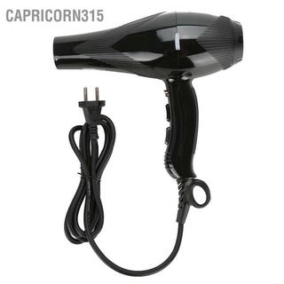 Capricorn315 เครื่องเป่าผมไอออนลบ 3000W แบบมืออาชีพ สําหรับร้านทําผม