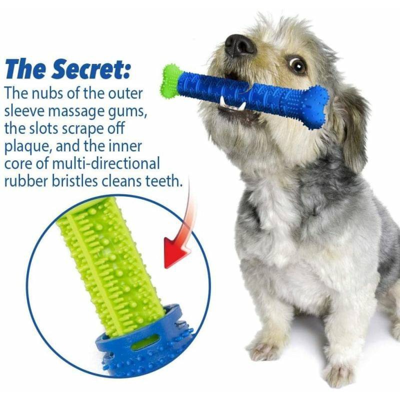 blueoutlet-chewbrush-กระดูกยางขัดฟันสุนัข