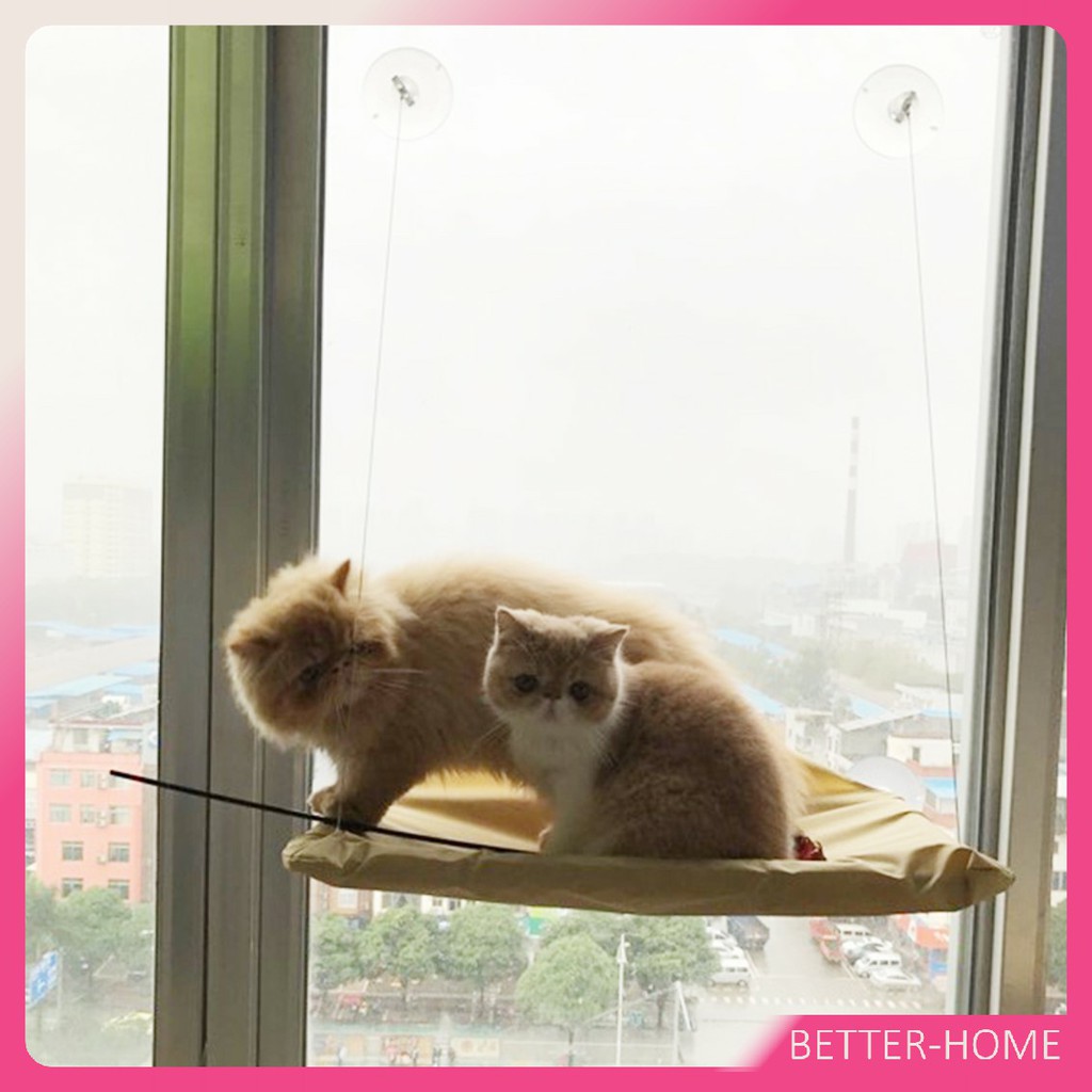 ขนาดใหญ่-55x35ซม-รับน้ำหนักได้ถึง-15-kg-เปลแมว-เปลแมวติดกระจก-ที่นอนแมว-บ้านแมว-ของเล่นแมว-cat-windows-bed-siter