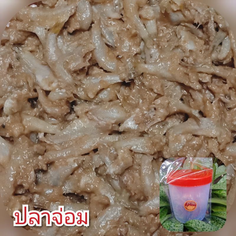 ปลาจ่อมแบบเปรี้ยว-300-กรัม-50-บาท