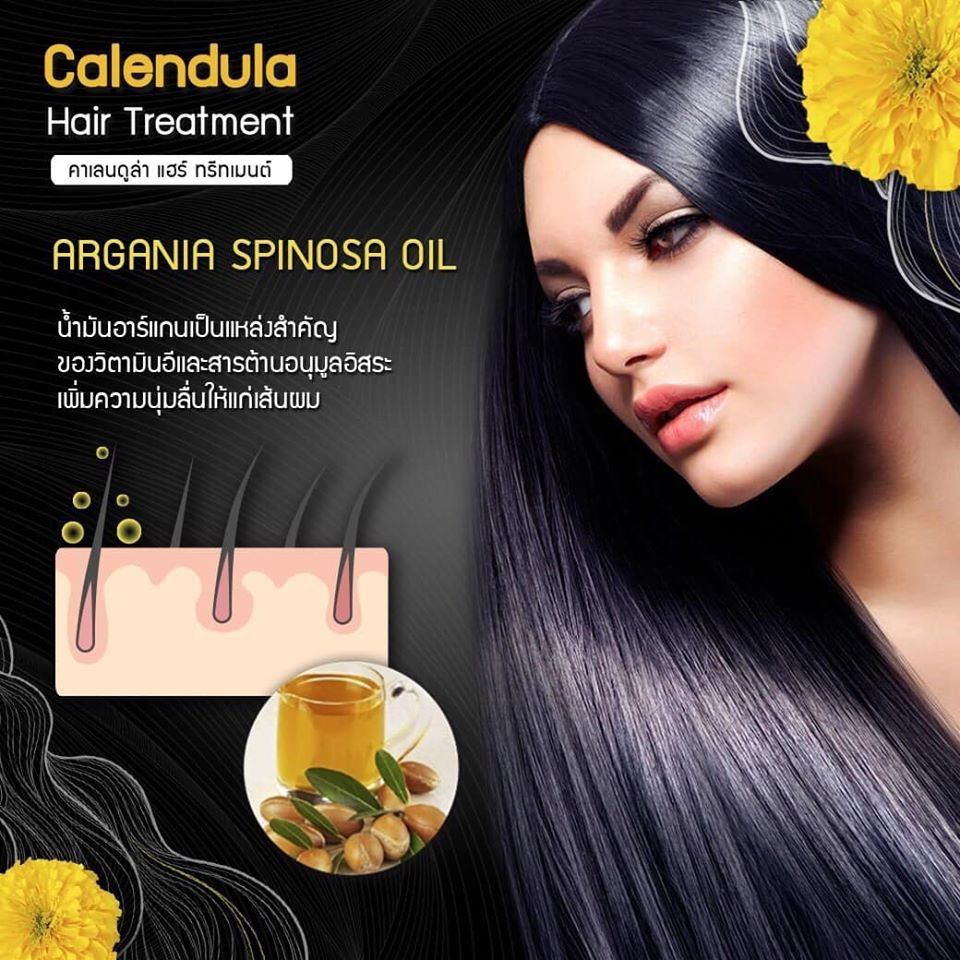 แชมพูดาวเรือง-150-ml-ทรีทเม้นท์ดาวเรือง-ไฉไล-chai-lai-calendula-hair-treatment-ทรีทเมนต์ผมดาวเรือง-1-กระปุก-300ml