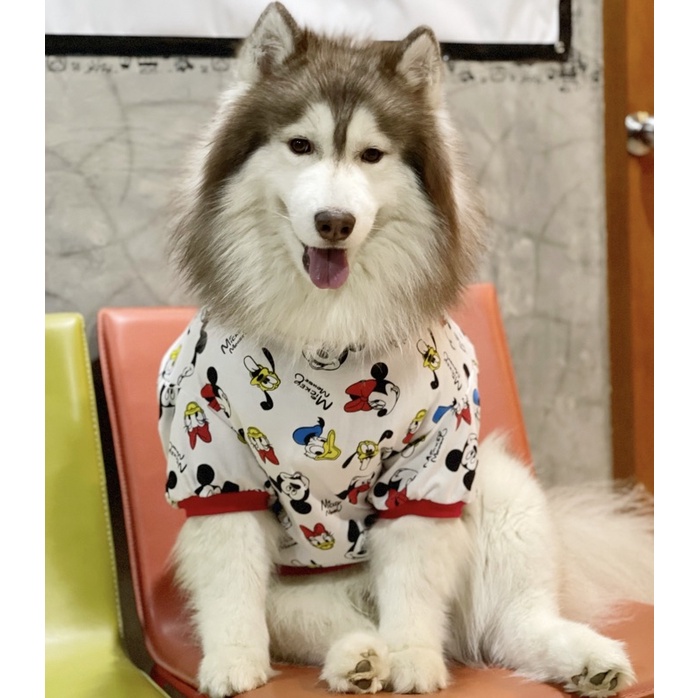ภาพหน้าปกสินค้าเสื้อสุนัขแขนสั้น คอกลม เสื่อหมา สำหรับหมาไซส์ใหญ่ อ้วน สายพันธุ์โต สไตล์ฮาวาย น้องหมาตัวใหญ่ใส่ได้