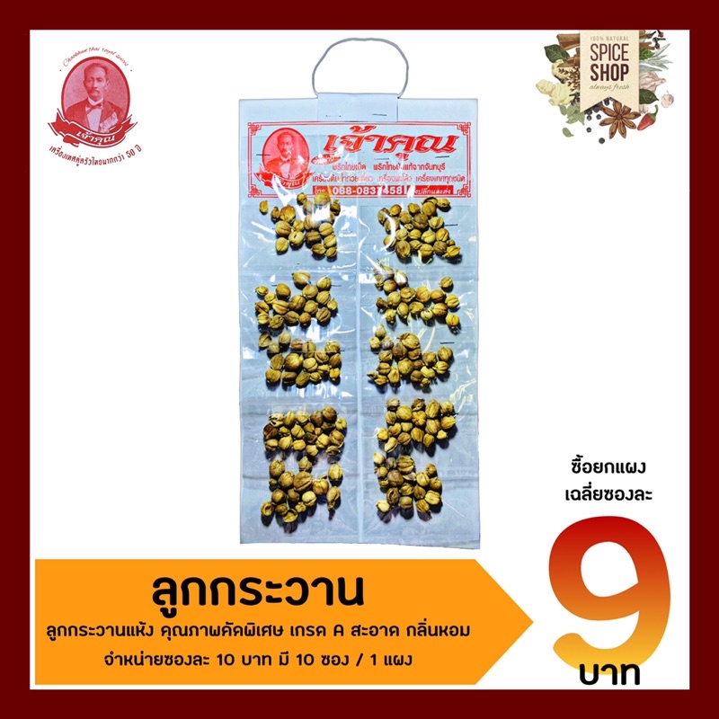 เครื่องเทศ-ลูกกระวาน-กระวาน-เจ้าคุณเครื่องเทศ