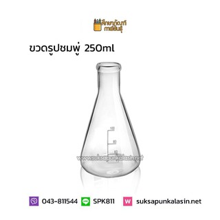 ขวดรูปชมพู่ 250ml Erlenmeyer Flask