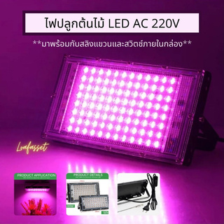 ภาพหน้าปกสินค้า(โปรดอ่านรายละเอียด)ไฟปลูกต้นไม้ LED 50W/100W ไฟปลูกพืชพร้อมสวิตช์เปิดปิดและสลิงแขวน ช่วยการเจริญเติบโตของพืช ที่เกี่ยวข้อง