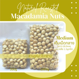 แมคคาเดเมีย อบพร้อมทาน เต็มเม็ดกลาง Macadamia nuts