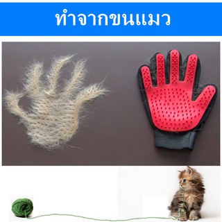 ภาพขนาดย่อของภาพหน้าปกสินค้าถุงมือแปรงขนสัตว์เลี้ยง อุปกรณ์แปรงขนแมว แปรงขนสุนัข หวีขนแมว หวีขนสุนัข ถุงมือรูดขนสัตว์ ช่วยกำจัดขนส่วนเกิน หวีแมว จากร้าน wagsoutwest บน Shopee