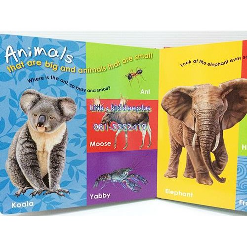 หนังสือเด็กภาษาอังกฤษ-ลดราคาพิเศษ-garry-fleming-my-first-50-animals