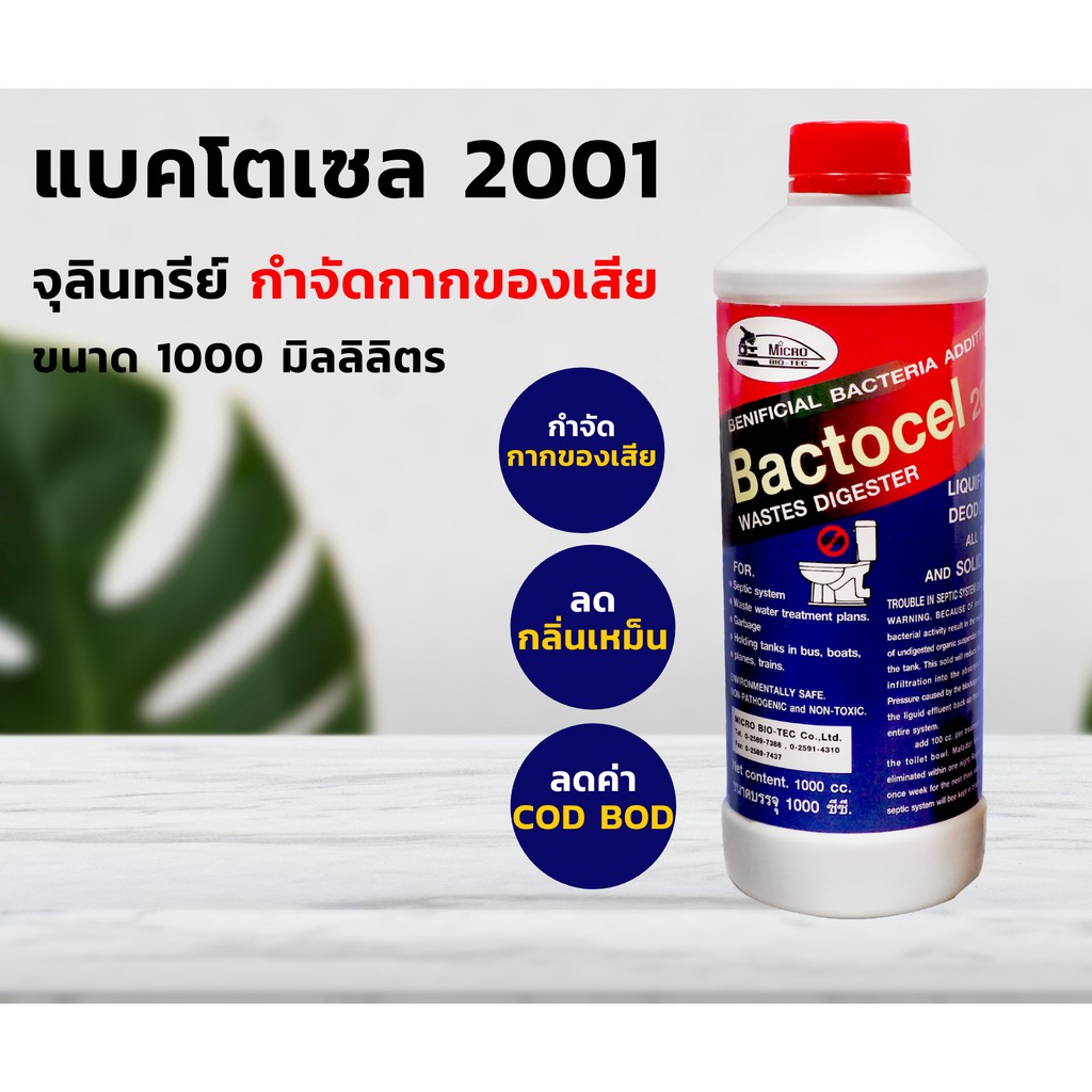 bactocelแบคโตเซล-2001-1-000-cc-โค้ด-bion388-ลด-15-ส้วมกดไม่ลง-ท่อเหม็น-ท่อตัน-บำบัดน้ำเสีย-ย่อยสลายกากของเสีย