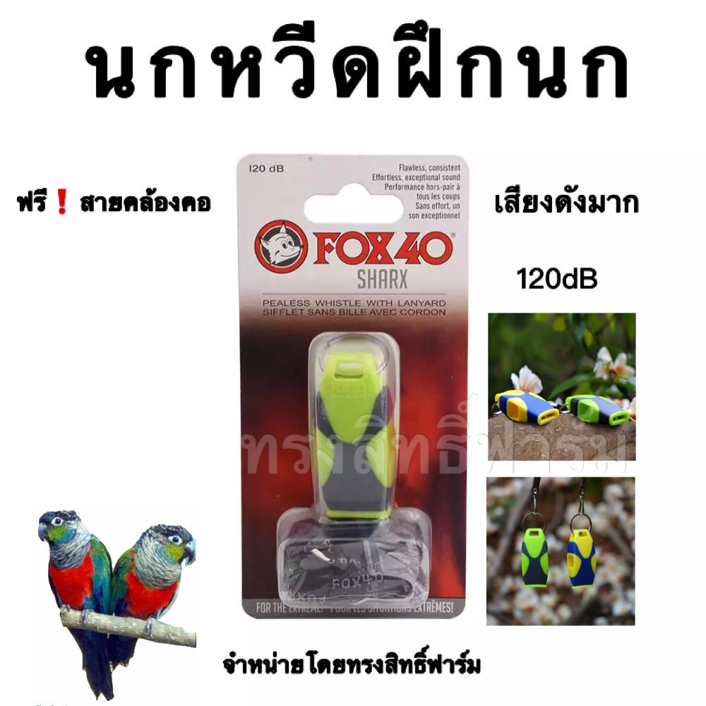 นกหวีด-fox40-ดังมากพร้อมส่งจากไทย