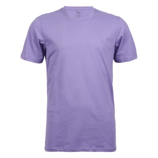 ภาพหน้าปกสินค้าเสื้อยืดแขนสั้น คอกลม สีม่วงสด Purple (紫色) -SR 19 ซึ่งคุณอาจชอบสินค้านี้