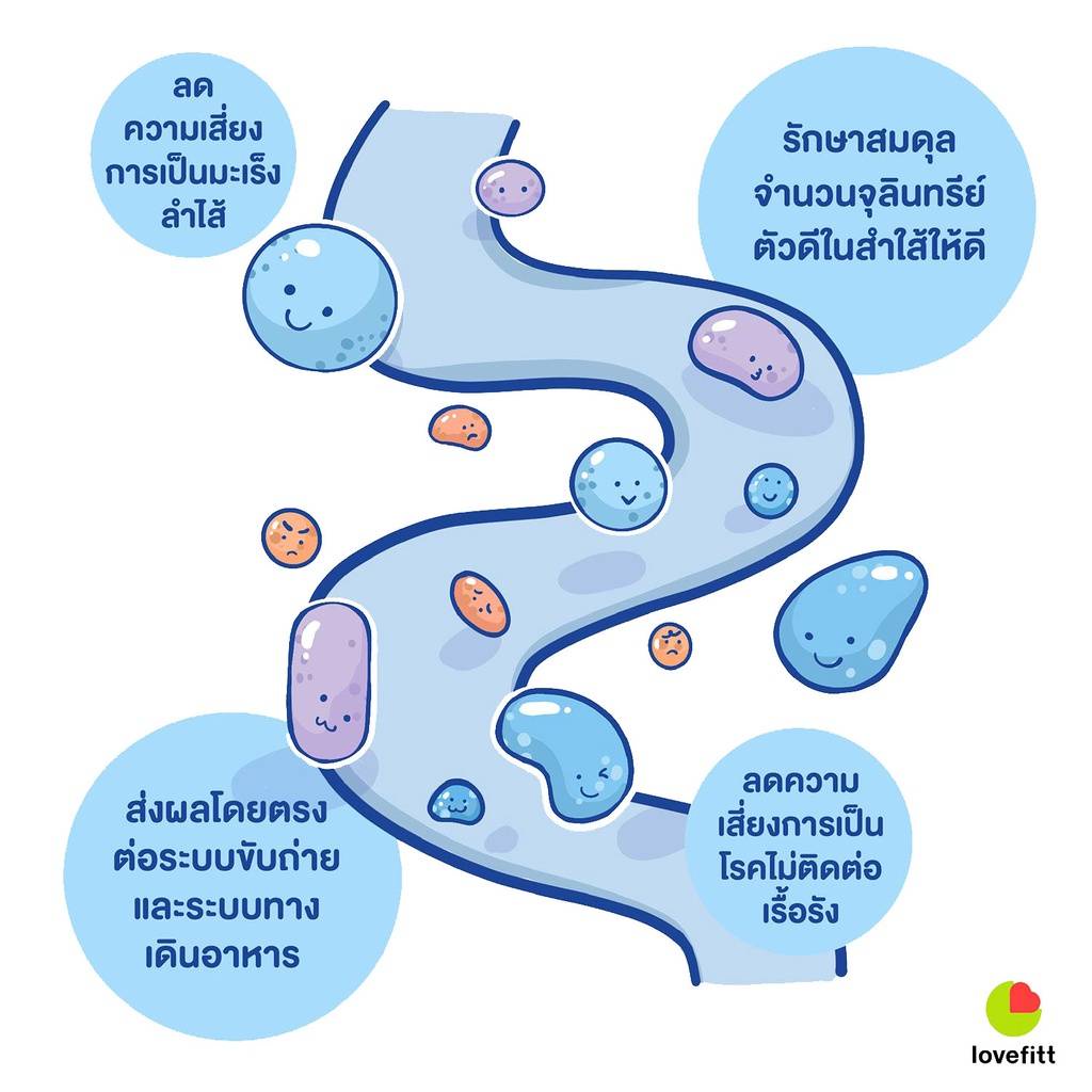 ยกกล่อง-12ซอง-gut-booster-โพรไบโอติก-สุนัขและแมว-แก้ท้องเสีย-ท้องผูก-ท้องอืด-ระบบย่อยมีปัญหา