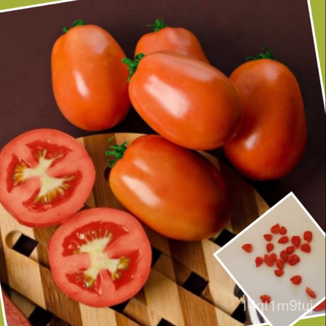 tomatoavatarty-f1-hybrid-20ชนิด-ผักกาดหอม-เสื้อ-ผู้ชาย-ดอกทานตะวัน-มะละกอ-คื่นฉ่าย-สร้อยข้อมือ-เด็ก-แอปเปิ้ล-กระโปรง