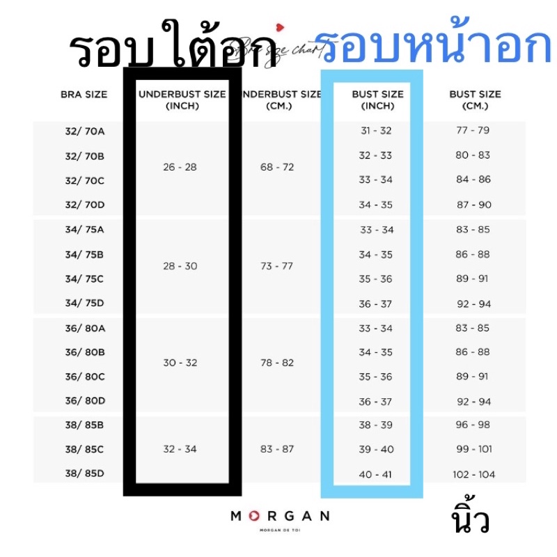 morgan-เสื้อชั้นใน-ป้าย-1-590-ราคาเสื้อใน-34d